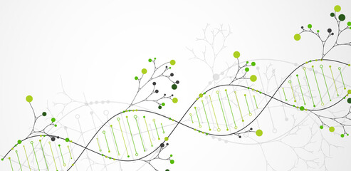 Aufkleber - Scientific medical background with abstract image of dna molecule and tree branches. Hand drawn vector illustration.