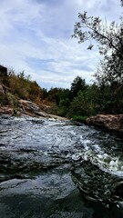 fast river in the forest