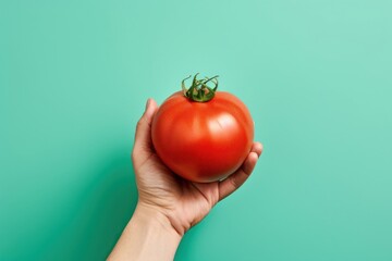 Poster - Tomato vegetable holding plant.