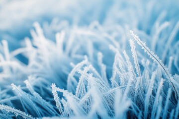 Abstract hoarfrost covered grass background.