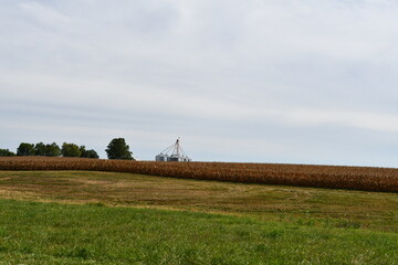 Wall Mural - Grain Bins in a Farm Field