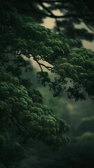 Poster - Full frame of green foliage on branches with blurred background