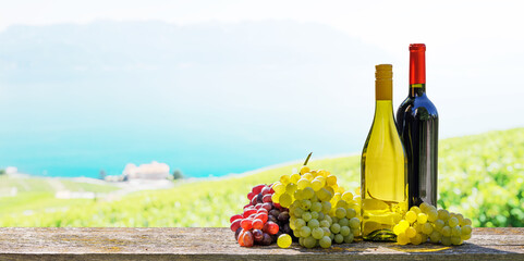 Wall Mural - A basket filled with various types of grapes and bottles of red and white wine