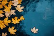 © Nico - Autumn Leaves Floating on Blue Water