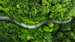 © Hand Robot - Road in the middle of the forest , road curve construction up to mountain, Rainforest ecosystem and healthy environment concept