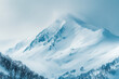 © tonstock - Snow-covered mountain peak surrounded by mist and clouds, with trees in the foreground, creating a serene and majestic winter landscape.