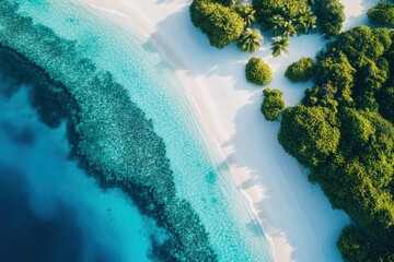 Wall Mural - an aerial view of a beach and trees