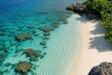 Wall Mural - an aerial view of a beach with clear blue water