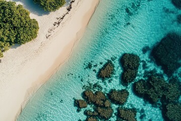 Wall Mural - an aerial view of a sandy beach and blue water