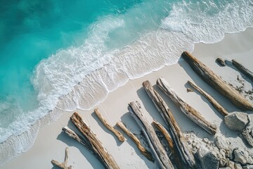 Wall Mural - a beach with a bunch of logs laying on top of it