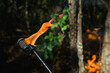 © Andrew Kornylak - A drip torch in the forest during a controlled burn