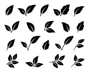 set abstract isolated green leaves icons, environmental signs and emblem, tree branches, twigs tea and natural sprigs