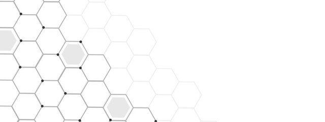 Leinwandbilder - Vectors Geometric abstract background with simple Hexagon elements. Vector illustration for medicine, technology or science design