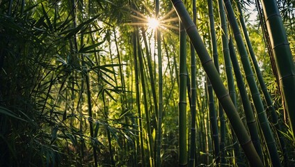 Sticker - Tall bamboo stalks swaying in a breezy thicket, sunlight filtering through.