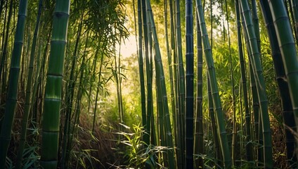 Sticker - Tall bamboo stalks swaying in a breezy thicket, sunlight filtering through.