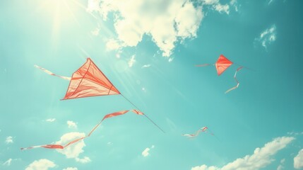 Kites with tails in bright summer skies