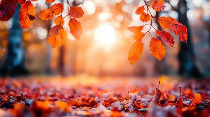 Wall Mural - Autumn Leaves in Sunlight.