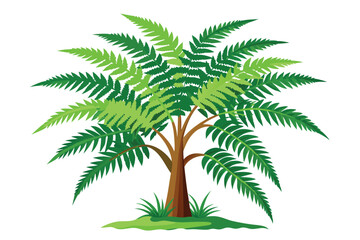 fern tree white background F.eps