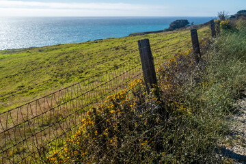 A barbed wire fence stretches along an open, grassy field with distant ocean views under a bright, clear sky