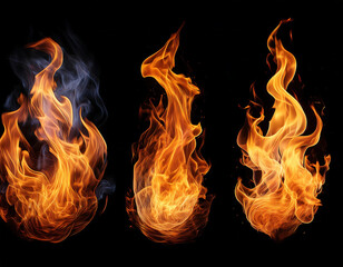  Set of Bright and Dynamic Fire Flames, Isolated- A collection of intense, flickering flames_1(197)