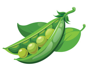 Fresh Peas Vegetable vector illustration