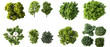 © NightTampa - Aerial view of various tree types showcasing vibrant green foliage isolate on transparent background, cutout, png