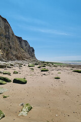 Wall Mural - Rocky Coastal Beach Scene with Cliffs and Clear Blue Sky for Nature and Travel Themes