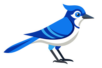 Blue jay bird with two legs side view vector art illustration