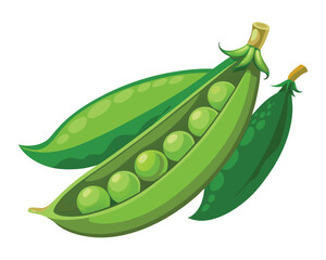 Fresh Peas Vegetable vector illustration