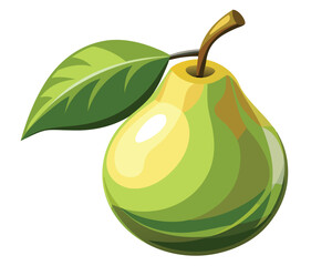 fresh organic pear fruit  vector illustration