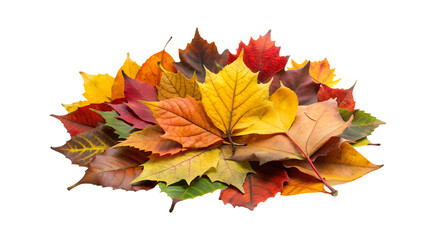 Wall Mural - autumn leaves on a white surface transparent