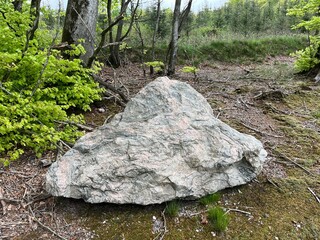 stone in the forest