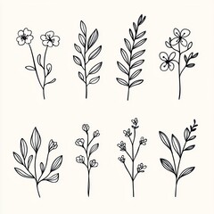 Aufkleber - Modern, Scandinavian, Nordic, minimal, monochrome. plant, herbarium, flowers and leaves icon set. hand drawn doodle.