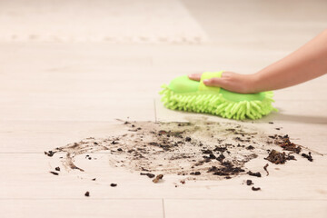 Poster - Woman cleaning dirt on wooden floor, closeup