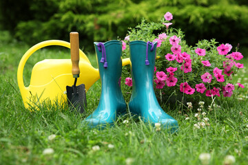 Wall Mural - Rubber boots, gardening tools and petunia flowers on green grass outdoors