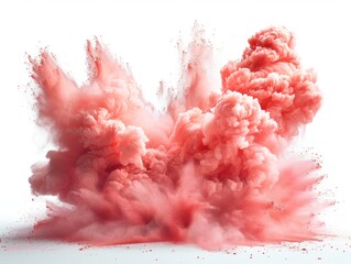 Wall Mural - splash explosion of powder with freeze on a white background