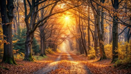 Golden sunlight filtering through autumn trees in a serene forest path, vibrant and peaceful atmosphere