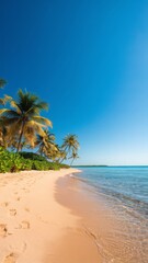 a summer beach with palm trees. The sky is clear and bright blue. There are footprints 