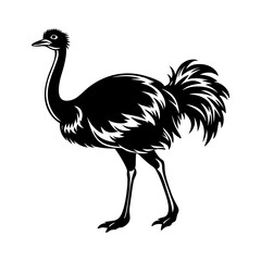 download ostrich silhouette vector art and illustration svg file for design.