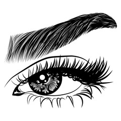 Wall Mural - Illustration with woman's eye, eyelashes and eyebrow. Makeup Look. Tattoo design. Logo for brow bar or lash salon.