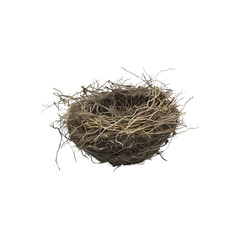 A bird's nest on a black background