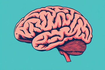 Wall Mural - illustration of the human brain in pink and red on a blue background, with a simple flat design and 
