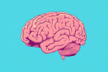 Wall Mural - illustration of the human brain in pink and red on a blue background, with a simple flat design, min