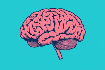 Wall Mural - the human brain in pink and red on a blue background, with a simple line art style, flat design, min