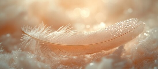 Sticker - Delicate Feather with Dewdrops