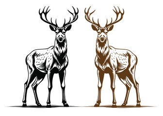 Fototapete - Beautiful deer vector  silhouette on white background
  