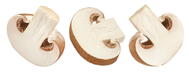 Wall Mural - brown champignon mushroom slices isolated on white background, full depth of field