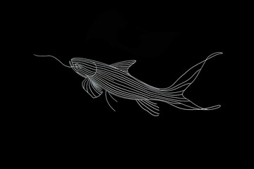 A simple white line drawing on a black background of a fish swimming gracefully. The design brings out the fluidity of the aquatic creature against the dark backdrop.