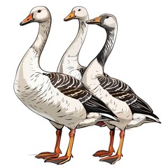 Wall Mural - Geese Sound element animal cartoon isolated whitebackground 16:9