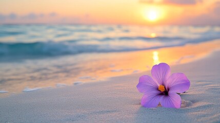 Poster - Purple Flower on Beach at Sunrise